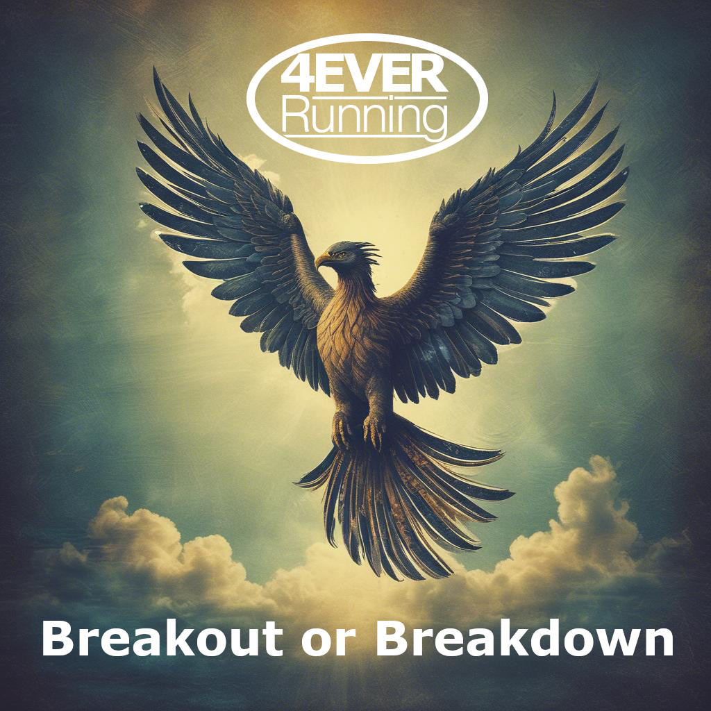 Breakout or Breakdown Album Cover